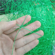 Green color climbing plant support net